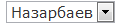 Поле Перечисление с одиночным выбором